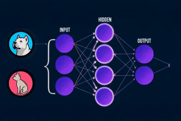 Animation showing data flowing through the input, hidden, and output layers of a neural network.