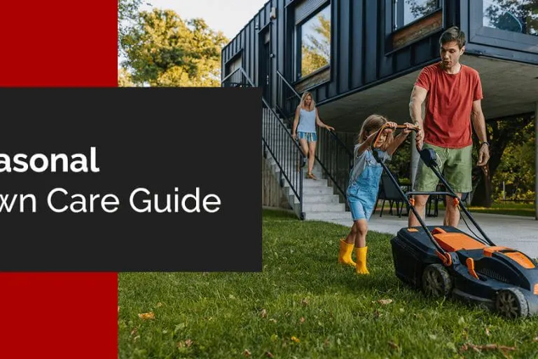 Seasonal Lawn Care Guide