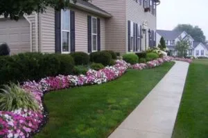 Landscaping Ideas to Transform Your Outdoor Space