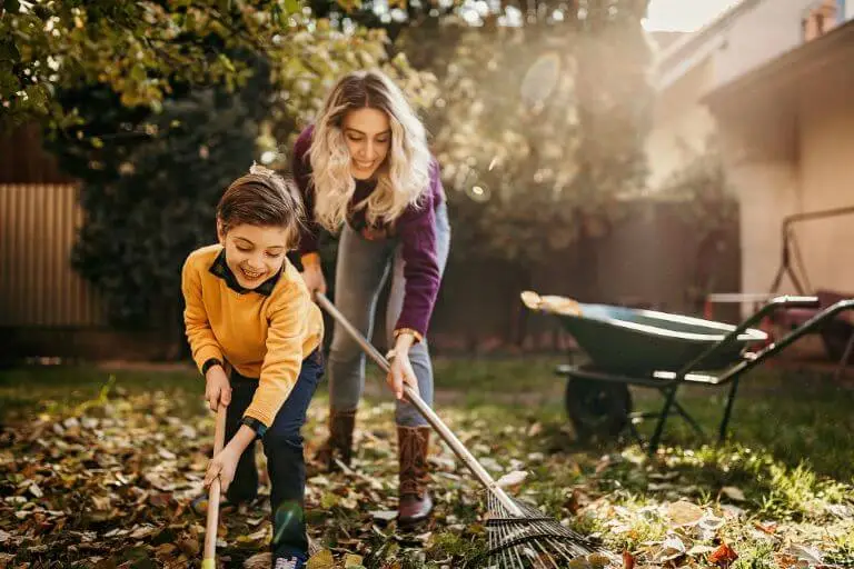 Essential Tips for Caring for Your Garden